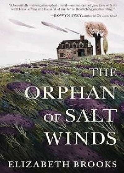 The Orphan of Salt Winds, Paperback/Elizabeth Brooks
