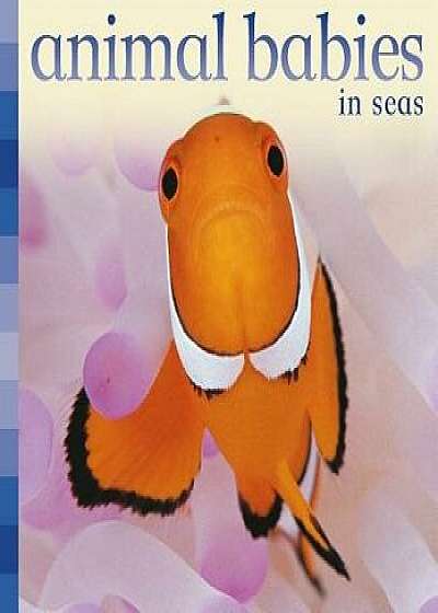 Animal Babies in Seas/Kingfisher Books