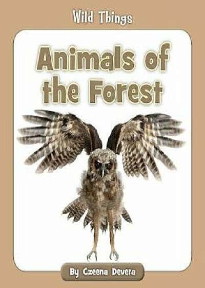 Animals of the Forest, Paperback/Czeena Devera