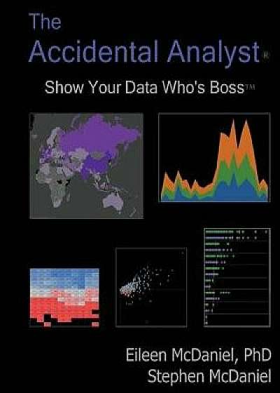 The Accidental Analyst: Show Your Data Who's Boss, Paperback/Eileen McDaniel