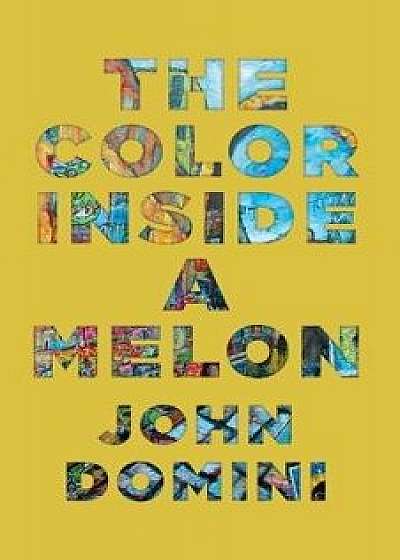 The Color Inside a Melon, Paperback/John Domini