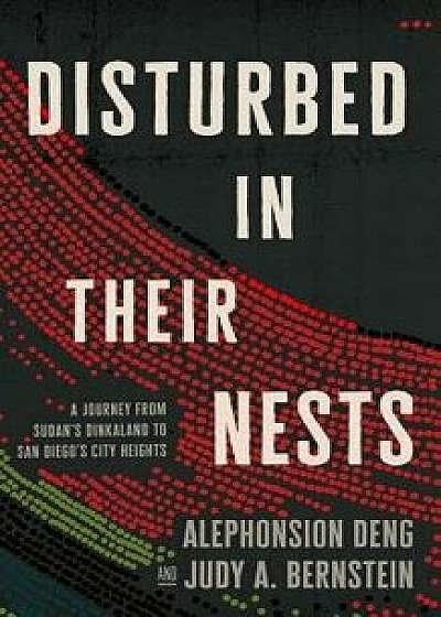 Disturbed in Their Nests: A Journey from Sudan's Dinkaland to San Diego's City Heights, Paperback/Alephonsion Deng