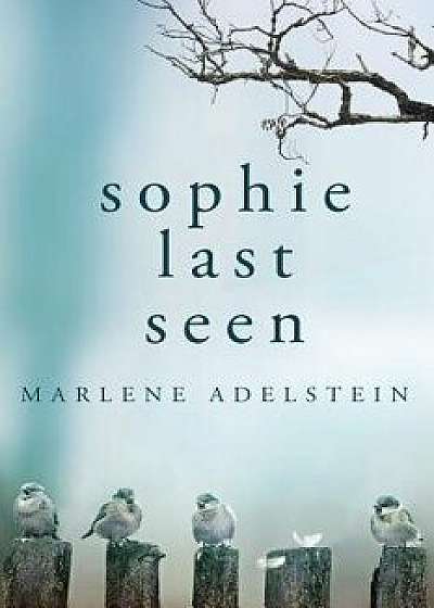 Sophie Last Seen, Paperback/Marlene Adelstein