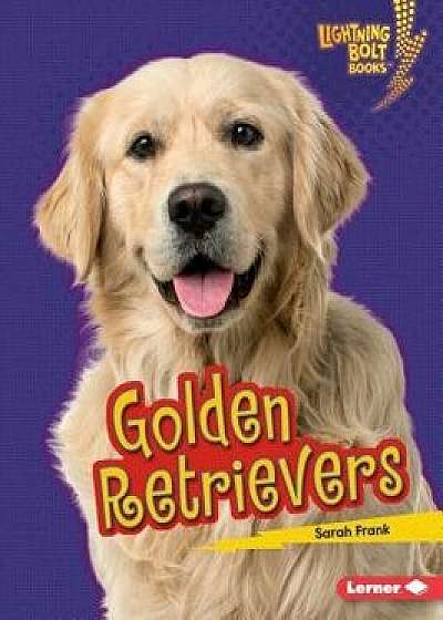 Golden Retrievers/Sarah Frank