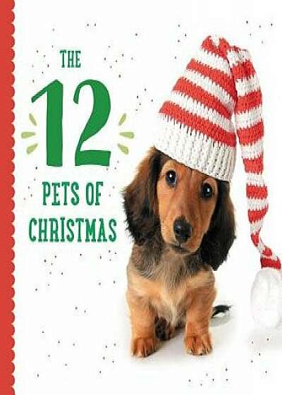 The 12 Pets of Christmas/Taylor Garland