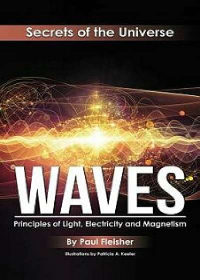 Waves: Principles of Light, Electricity and Magnetism, Paperback/Paul Fleisher