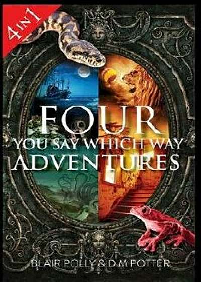 Four You Say Which Way Adventures: Pirate Island, in the Magician's House, Lost in Lion Country, Once Upon an Island, Paperback/Blair Polly
