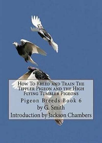 How to Breed and Train the Tippler Pigeon and the High Flying Tumbler Pigeons: Pigeon Breeds Book 6, Paperback/G. Smith
