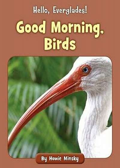 Good Morning, Birds, Paperback/Howie Minsky