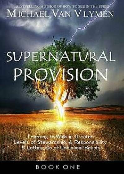 Supernatural Provision: Learning to Walk in Greater Levels of Stewardship and Responsibilty and Letting Go of Unbiblical Beliefs, Paperback/Michael Van Vlymen