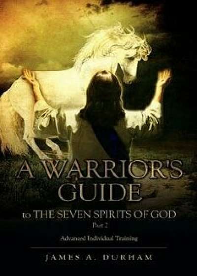 A Warrior's Guide to the Seven Spirits of God Part 2, Paperback/James A. Durham