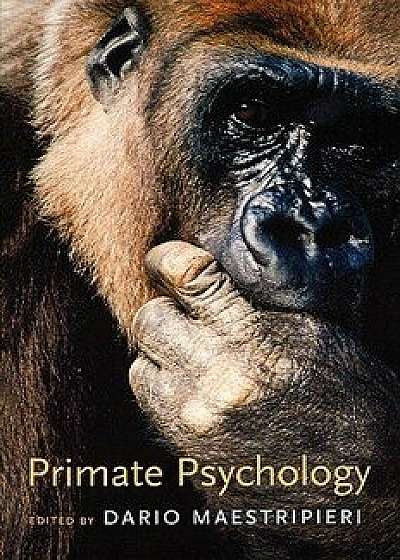 Primate Psychology, Paperback/Dario Maestripieri