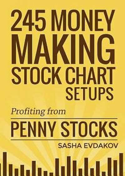 245 Money Making Stock Chart Setups: Profiting from Penny Stocks, Paperback/Sasha Evdakov