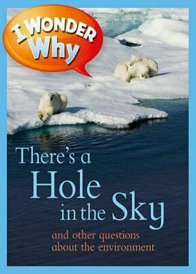 I Wonder Why There's a Hole in the Sky: And Other Questions about the Environment, Paperback/Sean Callery