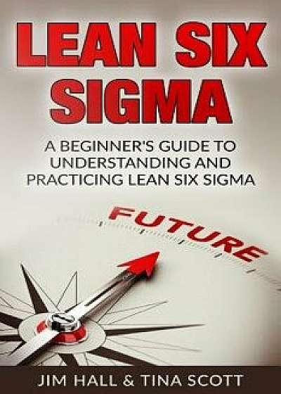 Lean Six SIGMA: Beginner's Guide to Understanding and Practicing Lean Six SIGMA, Paperback/Jim Hall