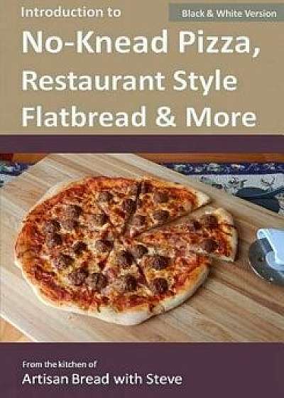 Introduction to No-Knead Pizza, Restaurant Style Flatbread & More (B&w Version): From the Kitchen of Artisan Bread with Steve, Paperback/Steve Gamelin