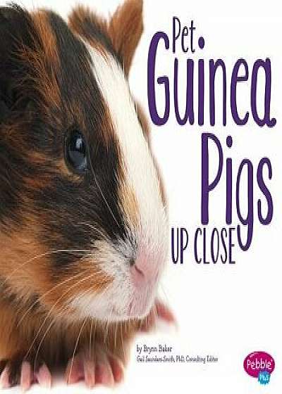 Pet Guinea Pigs Up Close, Paperback/Brynn Nicole Baker