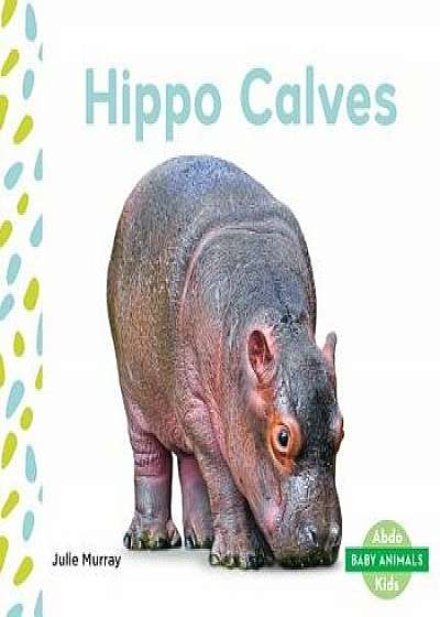 Hippo Calves/Julie Murray