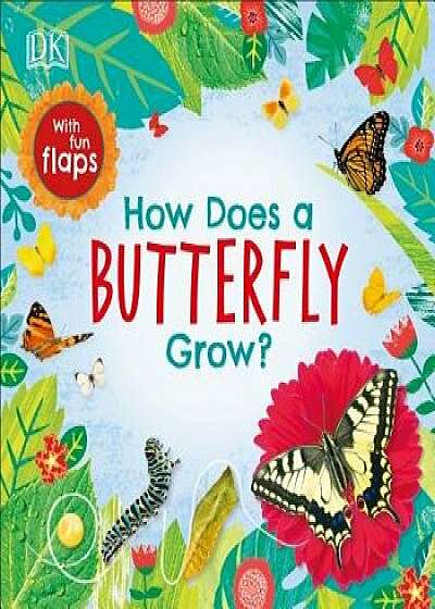 How Does a Butterfly Grow?/DK