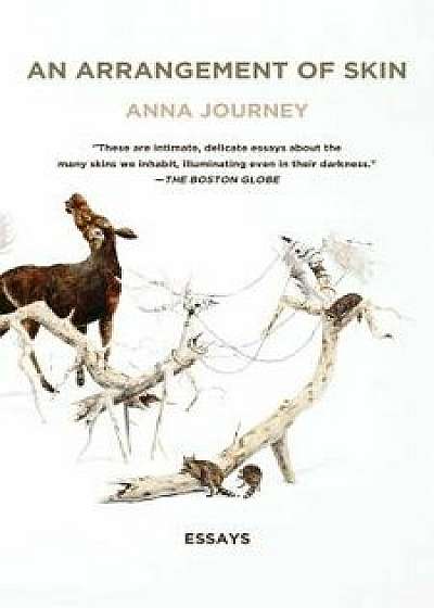 An Arrangement of Skin: Essays, Paperback/Anna Journey