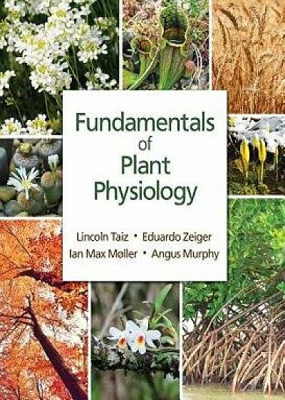 Fundamentals of Plant Physiology, Paperback/Lincoln Taiz