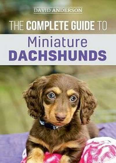 The Complete Guide to Miniature Dachshunds: A Step-By-Step Guide to Successfully Raising Your New Miniature Dachshund, Paperback/David Anderson