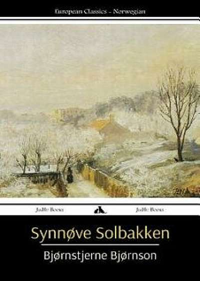Synn ve Solbakken, Paperback/Bjrnstjerne Bjrnson