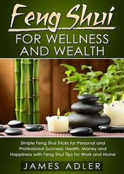 Feng Shui for Wellness and Wealth: Simple Feng Shui Tricks for Personal and Professional Success: Health, Money and Happiness with Feng Shui Tips for, Paperback/James Adler