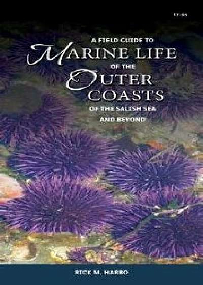 A Field Guide to Marine Life of the Outer Coasts of the Salish Sea and Beyond/Rick M. Harbo