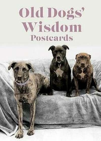 Old Dogs Wisdom, Paperback/Fiona Tomlinson
