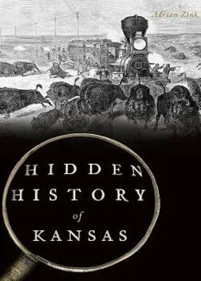 Hidden History of Kansas, Hardcover/Adrian Zink