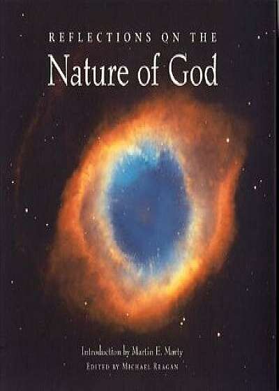 Reflections on the Nature of God, Paperback/Michael Reagan