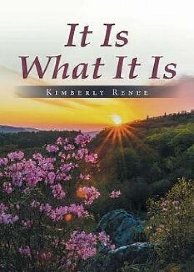 It Is What It Is, Paperback/Kimberly Renee