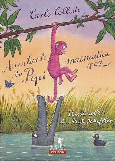 Aventurile lui Pipì, maimuţica roz