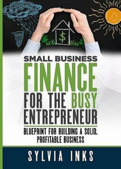 Small Business Finance for the Busy Entrepreneur: Blueprint for Building a Solid, Profitable Business, Paperback/Sylvia Inks