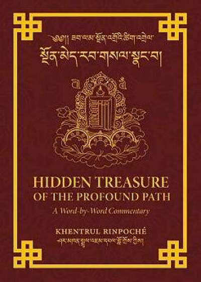 Hidden Treasure of the Profound Path: A Word-By-Word Commentary on the Kalachakra Preliminary Practices, Paperback/Shar Khentrul Jamphel Lodro