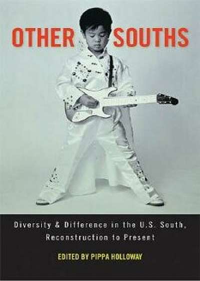 Other Souths: Diversity and Difference in the U.S. South, Reconstruction to Present, Paperback/Alexander Macaulay