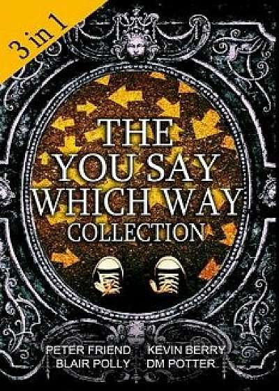 The You Say Which Way Collection: Dungeon of Doom, Secrets of the Singing Cave, Movie Mystery Madness, Paperback/Blair Polly