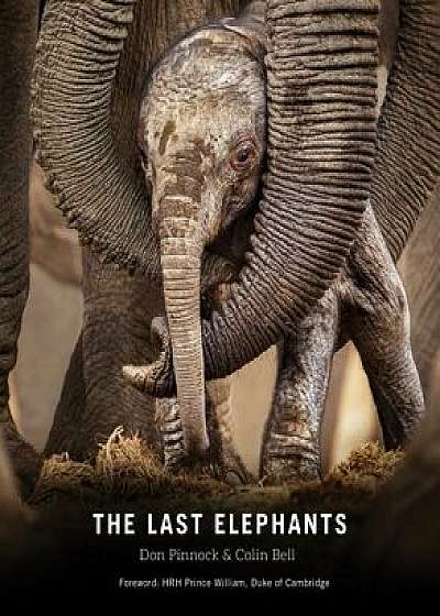 The Last Elephants, Paperback/Don Pinnock