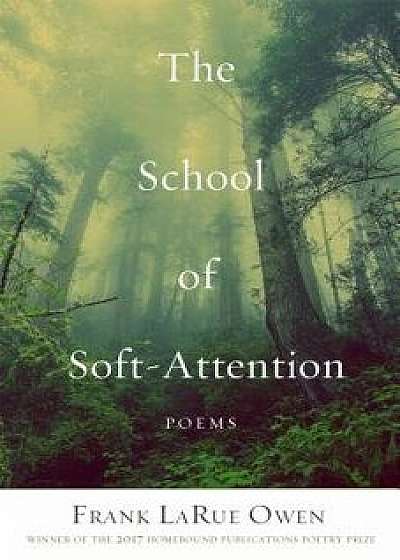 The School of Soft-Attention/Frank Larue Owen