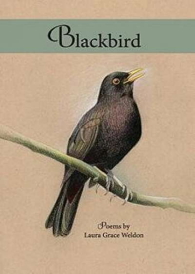 Blackbird: Poems, Paperback/Laura Grace Weldon