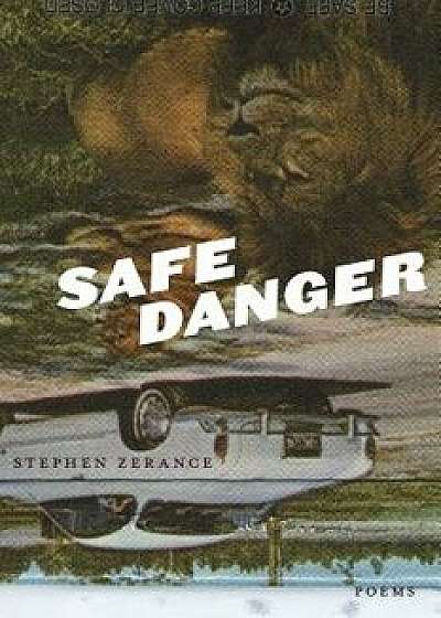 Safe Danger, Paperback/Stephen Zerance