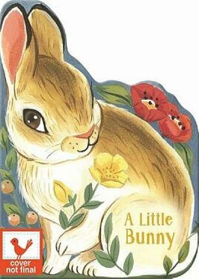A Little Bunny/Rosalee Wren