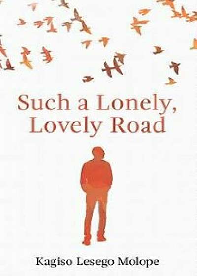Such a Lonely, Lovely Road, Paperback/Kagiso Lesego Molope