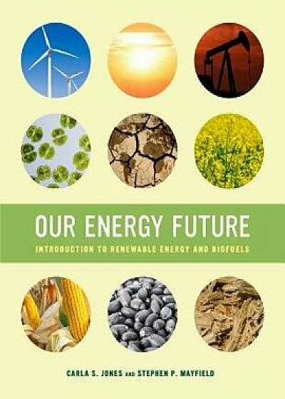 Our Energy Future: Introduction to Renewable Energy and Biofuels, Paperback/Carla S. Jones