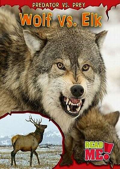 Wolf vs. Elk, Paperback/Mary Meinking