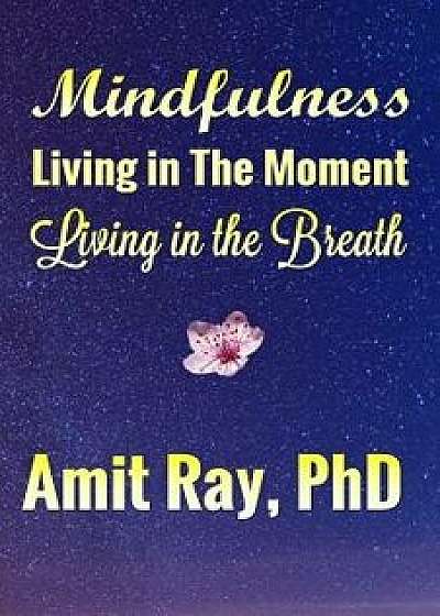 Mindfulness: Living in the Moment Living in the Breath, Paperback/Amit Ray