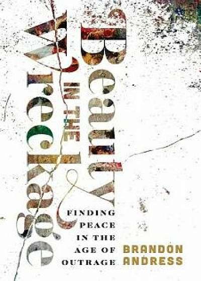 Beauty in the Wreckage: Finding Peace in the Age of Outrage, Paperback/Brandon Andress