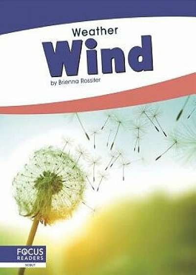 Coperta cărții Wind, Paperback/Brienna Rossiter