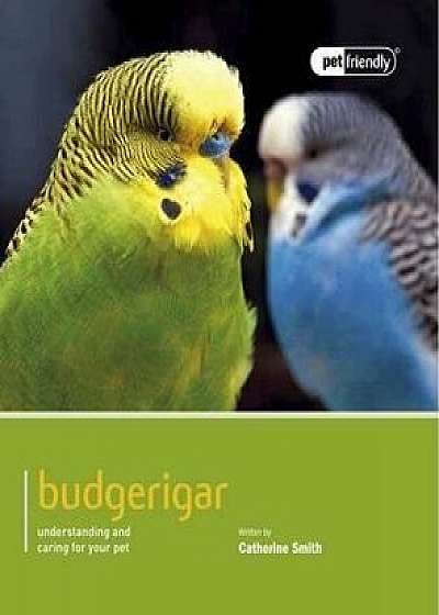 Budgerigar: Understanding and Caring for Your Pet, Paperback/Catherine Smith